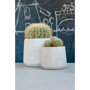 Pottery Pots Rough Patt ronde plantenbak grijs sfeer binnen